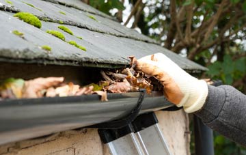 gutter cleaning Stanhope
