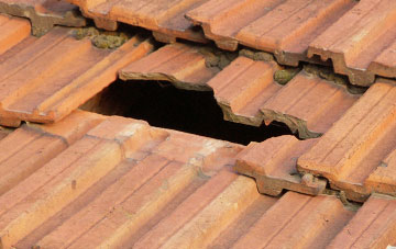roof repair Stanhope